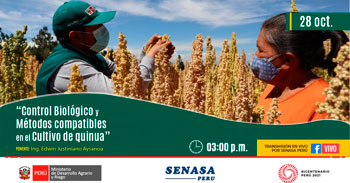 (Charla Virtual Gratuita) SENASA: Control Biológico y medios compatibles en el cultivo de quinua