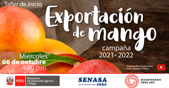 (Taller Virtual Gratuito) SENASA: Campaña de exportación de mango 2021-2022