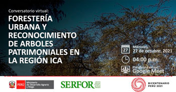 (Conversatorio Virtual) SERFOR: Forestería urbana y reconocimiento de arboles patrimoniales en la Región Ica