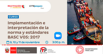 Curso Virtual de Implementación e interpretación de la norma y estándares BASC Vo5 2017