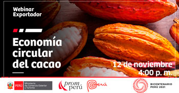 (Taller Virtual Gratuito) PROMPERU: Economía circular del Cacao