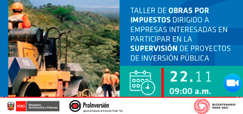 Taller Virtual de Obras por Impuestos dirigido a empresas interesadas en participar de supervisión de proyectos