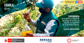(Charla Virtual Gratuita) SENASA: Experiencia en la erradicación de moscas de la fruta