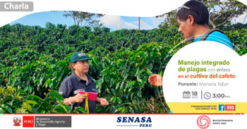 (Charla Virtual Gratuita) SENASA: Manejo integrado de plagas con énfasis en el cultivo del cafeto