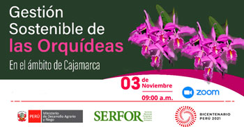 (Capacitación Virtual Gratuita) SERFOR: Gestión sostenible de Orquídeas