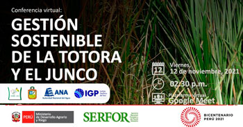 (Conferencia Virtual Gratuita) SERFOR: Gestión sostenible de la totora y el junco