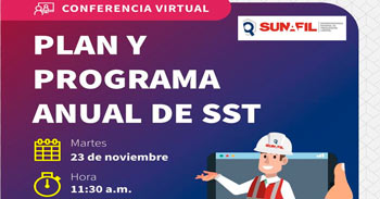 (Conferencia Virtual Gratuita) SUNAFIL: Plan y programa anual de SST