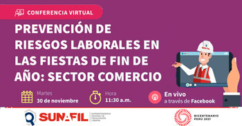 (Conferencia Virtual Gratuita) SUNAFIL: Prevención de riesgos laborales en las fiestas de fin de año, Sector Comercio