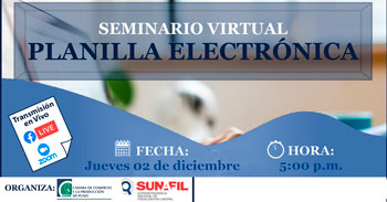 Seminario Virtual Gratuito respecto a la Planilla Electrónica