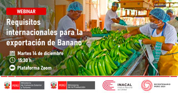 Webinar acerca de los requisitos internacionales para la exportación de banano