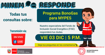 Minem responderá consultas sobre el Programa Bonogas para MYPES