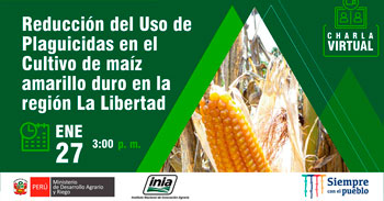(Curso Gratuito) INIA: Reducción del Uso de Plaguicidas en el Cultivo de maíz amarillo duro en la región La Libertad