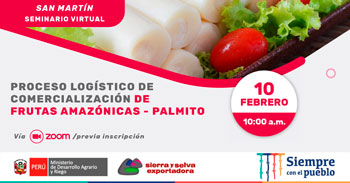 Seminario virtual acerca del proceso logístico de comercialización de fruta amazónicas - Palmito