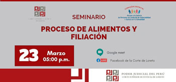 Participa del seminario virtual gratuito respecto al proceso de alimentos y filiación