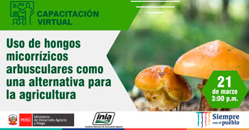 (Capacitación Gratuita) INIA: Uso de hongos micorrízicos arbusculares como una alternativa para la agricultura