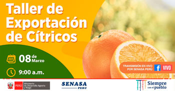 (Taller Virtual Gratuito) SENASA: Exportación de cítricos