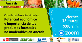 Conferencia virtual acerca del potencial económico e importancia de los productos forestales no maderables