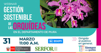 (Webinar Gratuito) SERFOR: Gestión sostenible de las orquídeas en el departamento de Piura