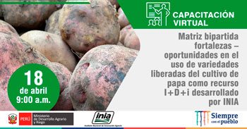 (Capacitación Gratuita) INIA: Matriz bipartida fortalezas y oportunidades en el uso de variedades del cultivo de papa