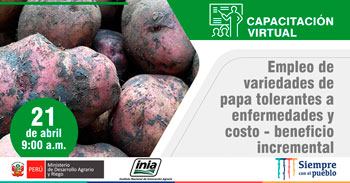 (Capacitación Virtual Gratuita) INIA: Empleo de variedades de papa tolerantes a enfermedades y costo