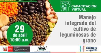 (Capacitación Virtual Gratuita) INIA: Manejo integrado del cultivo de leguminosas de grano