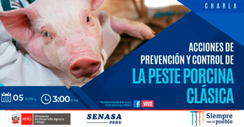 (Charla Virtual Gratuita) SENASA: Acciones de prevención y control de la peste porcina clásica