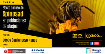 (Charla Virtual Gratuita) SENASA: Efectos del uso de Spinosad en poblaciones de abejas