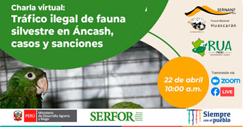 Charla virtual gratuita respecto al tráfico ilegal de fauna silvestre en Ancash