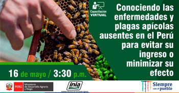 (Capacitación Virtual Gratuita) INIA: Conociendo las enfermedades y plagas apícolas ausentes en el Perú