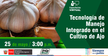(Capacitación Virtual Gratuita) INIA: Tecnología de manejo integrado en el cultivo de ajo