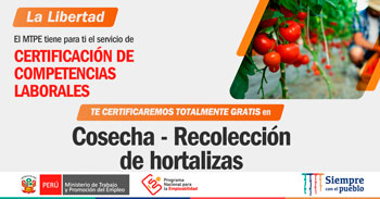 Participa de este evento gratuito y certifícate en cosecha y recolección de hortalizas