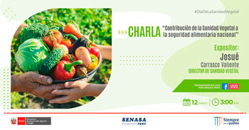 (Charla Virtual Gratuita) SENASA: Contribución de la sanidad vegetal a la seguridad alimentaria nacional