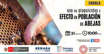 (Charla Virtual Gratuita) SENASA: Uso de plaguicidas y su efecto en población de abejas