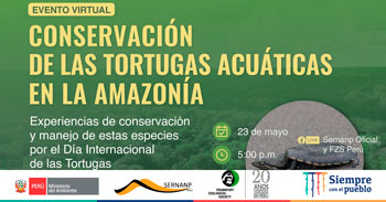 Sernanp ofrece evento virtual gratuito sobre la conservación de las tortugas acuáticas en la Amazonía