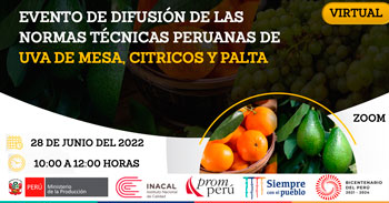 Evento virtual de difusión de la normas técnicas peruanas de uvas de mesa, cítricos y palta
