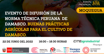 Participa del evento presencial de difusión de la norma técnica peruana de damasco