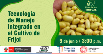 (Capacitación Virtual Gratuita) INIA: Tecnología de manejo integrado en el cultivo de frijol