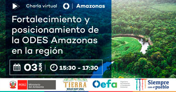 (Charla Virtual Gratuita) OEFA: Fortalecimiento y posicionamiento de la ODES Amazonas en la región