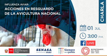 (Charla Virtual Gratuita) SENASA: Influenza aviar y acciones de respaldo de la avicultura nacional