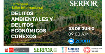 Seminario virtual internacional sobre delitos ambientales y delitos económicos conexos
