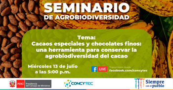 (Charla Gratuita) CONCYTEC: Cacaos especiales y chocolates finos, una herramienta para conservar la agrobiodiversidad