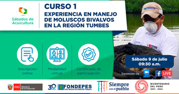 (Curso Virtual Gratuito) FONDEPES: Experiencia en manejo de moluscos bivalvos en la región Tumbes