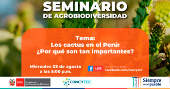 (Charla Virtual Gratuita) CONCYTEC: Los cactus en el Perú ¿por qué son tan importantes?