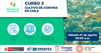 (Curso Virtual Gratuito) FONDEPES: Cultivo de corvina en Chile