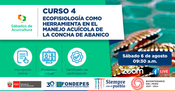 (Curso Virtual Gratuito) FONDEPES: Ecofisiología como herramienta en el manejo acuícola de la concha de abanico