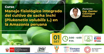 Curso virtual gratuito de manejo fisiológico integrado del cultivo de sacha inchi en la Amazonía Peruana