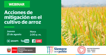 Webinar gratuito acerca de las acciones de mitigación en el cultivo del arroz