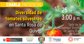 Charla presencial sobre la diversidad de tomates silvestres en Santa Rosa de Quives