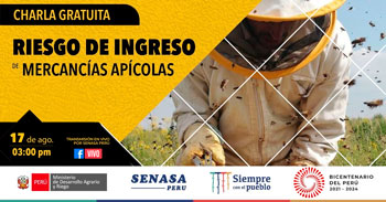 (Charla Virtual Gratuita) SENASA: Riesgo de ingreso de mercancías apícolas