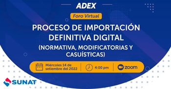Conferencia virtual gratuita respecto al proceso de importación definitiva digital